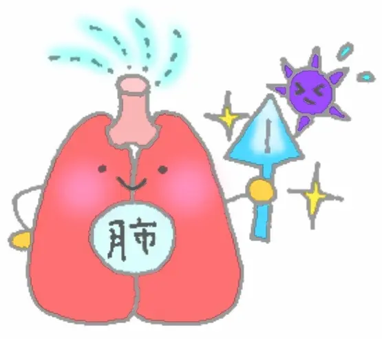 「腸を整えると肌が変わる？東洋医学が語る“肺‐大腸”の不思議な関係」 | 徳田漢方はり院